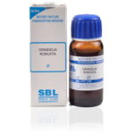 SBL Grindelia Robusta (Q) (100 ML) Mother Tinctures / MT