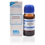 SBL Hydrangea Arborescens (Q) (30 ML) Mother Tinctures / MT