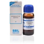 SBL Hydrocotyle Asiatica (Q) (100 ML) Mother Tinctures / MT