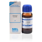 SBL Origanum Vulgare (Q) (100 ML) Mother Tinctures / MT