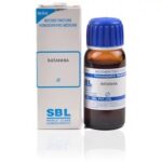 SBL Ratanhia (Q) (30 ML) Mother Tinctures / MT