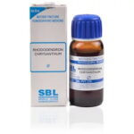 SBL Rhododendron Chrysanthum Mother Tincture Q (100 ML)