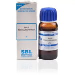 SBL Rhus Toxicodendron (Q) (100 ML) Mother Tinctures / MT