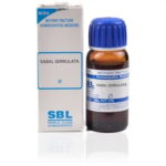 SBL Sabal Serrulata (Q) (30 ML) Mother Tinctures / MT