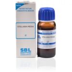 SBL Stellaria Media (Q) (30 ML) Mother Tinctures / MT
