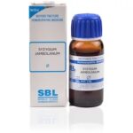 SBL Syzygium Jambolanum / Jamun (Q) (30 ML) Mother Tinctures / MT