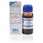 SBL Thuja Occidentalis (Q) (30 ML) Mother Tinctures / MT