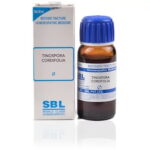 SBL Tinospora Cordifolia (Q) (30 ML) Mother Tinctures / MT