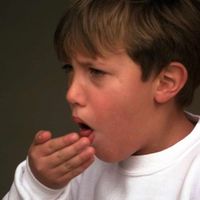 Whooping Cough